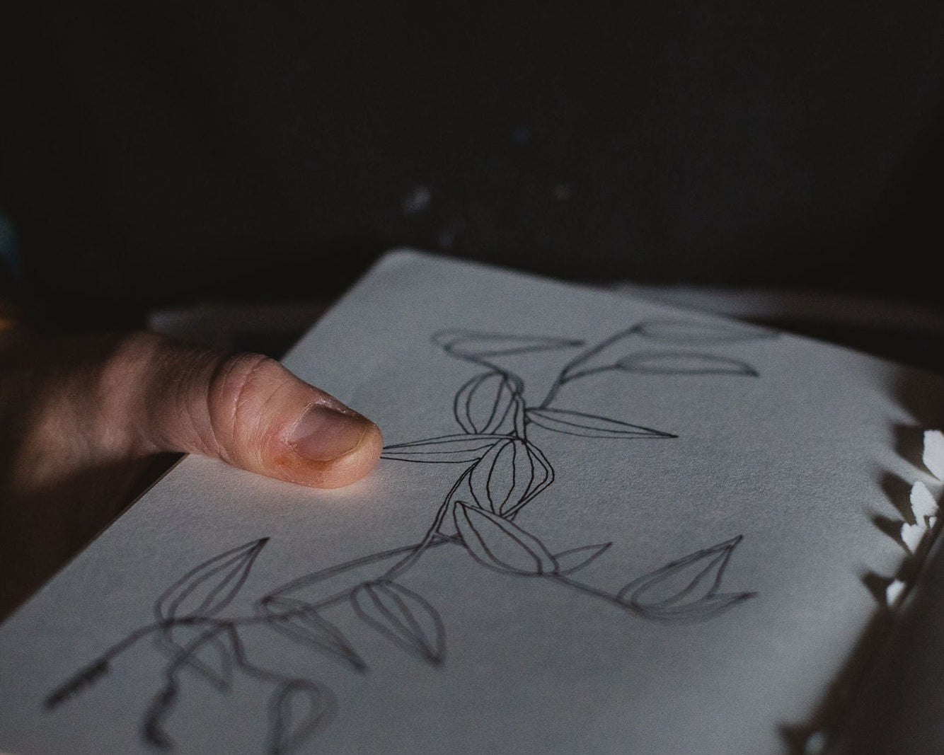 New Zealand Artist Vicky Lord holding a notebook with a floral drawing on a dark background